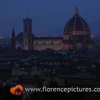 Florence By Night