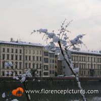 Florence under the Snow