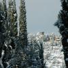 chianti_under_the_snow_02