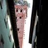 torre-guinigi-lucca