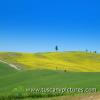 Val d'Orcia