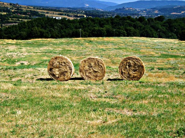 pieve_san_pietro_romena05