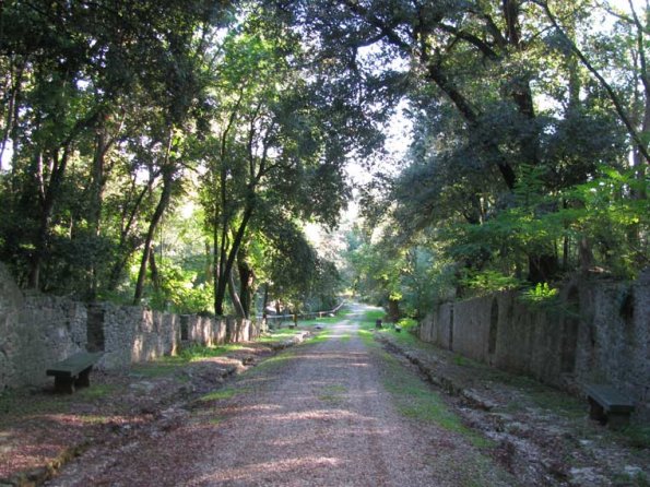 avenue-in-pratolino