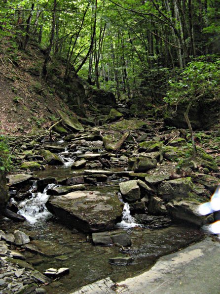 campigna-casentino10