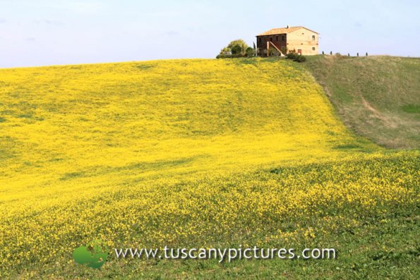 Val d'Orcia